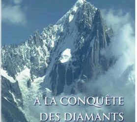 Roman « À la Conquête des Diamants de la Prospérité » (Livraison au Canada)